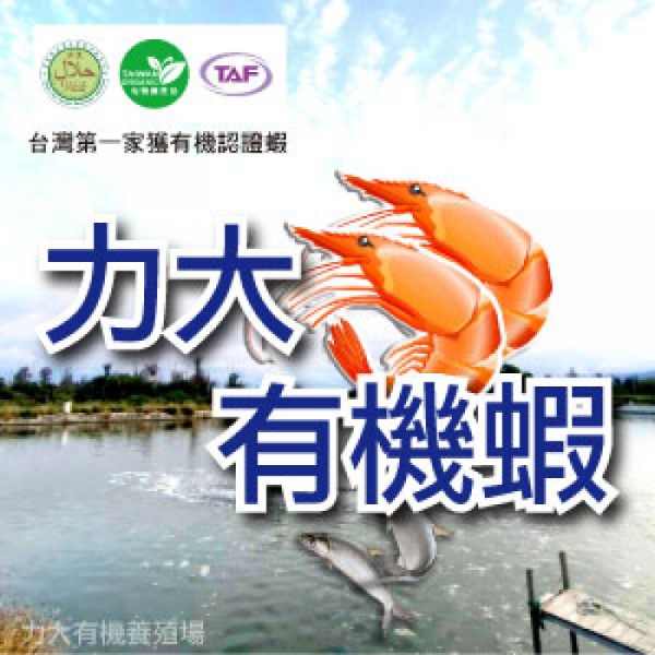 力大有機鮮蝦/4盒