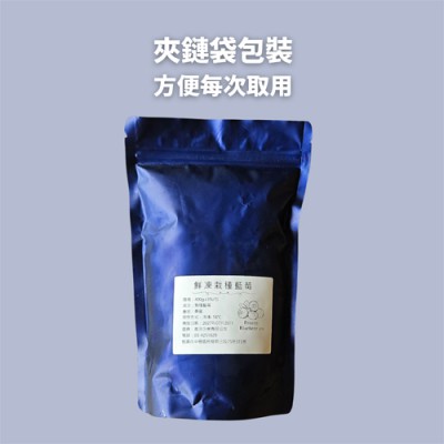 鮮凍摘種藍莓小