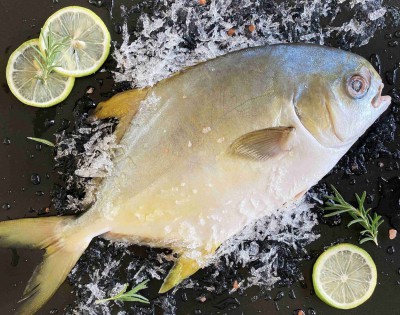 16A0C90B-E889-4881-8123-8DC2F169036D1