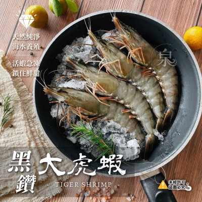 黑鑽大虎蝦1-min