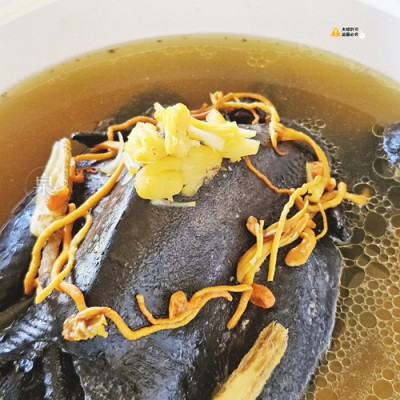 黃金蟲草干貝烏骨雞小3