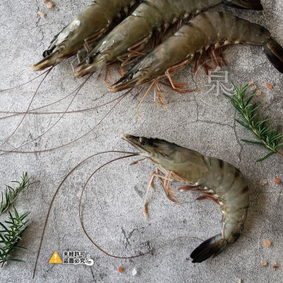 8CEE17BA-E8D0-4A14-BDB5-A5FD55C4F72B1-min