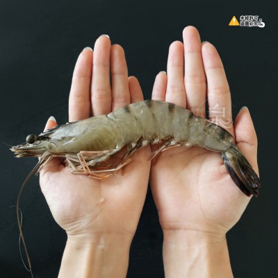 C8A1CDE3-417E-4D64-9855-2A4DC4CA4B301-min