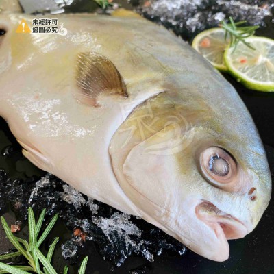 6ADCDB1D-51F5-4952-B8EE-59AD289754CD1