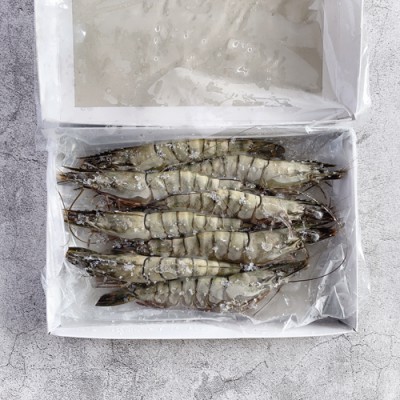 952F684D-AC26-4A27-A8D3-3275E273E69B-500