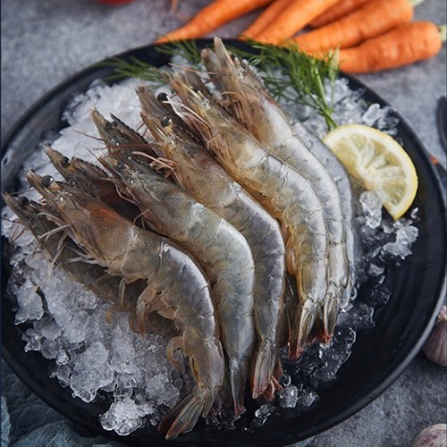 南美活凍生白蝦 30/40
