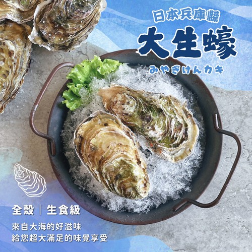 日本兵庫縣生蠔(生食級)