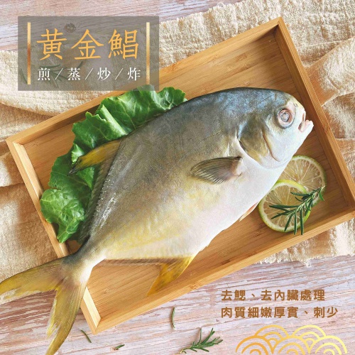 黃金鯧魚(去鱗/去鰓/去內臟)