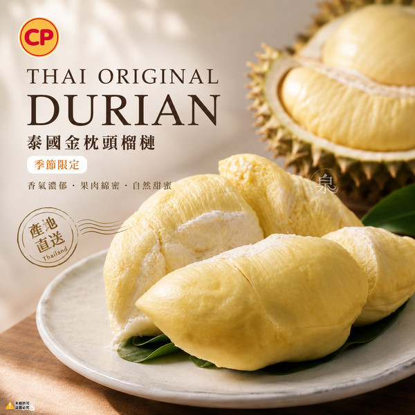 【CP】泰國金枕頭榴槤(預購8月初出貨)