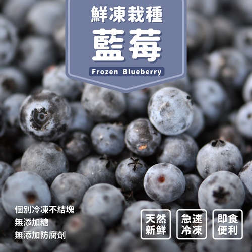 鮮凍栽種藍莓
