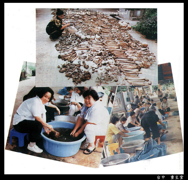 172dee4ffb839ee4e056e94084abf81a