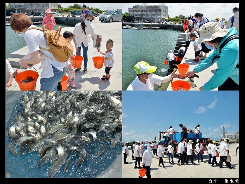 1599521741-3451045451-g